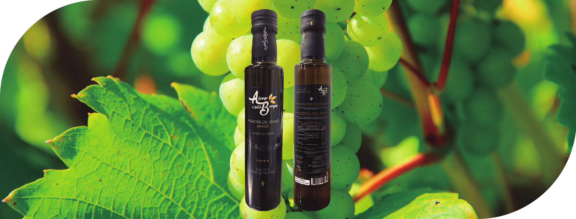 Vinagre de Vinho Branco 250ml